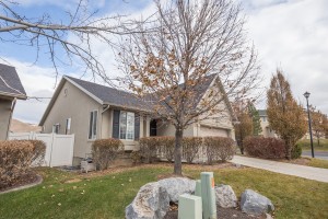 Professional Photographer Lehi Utah